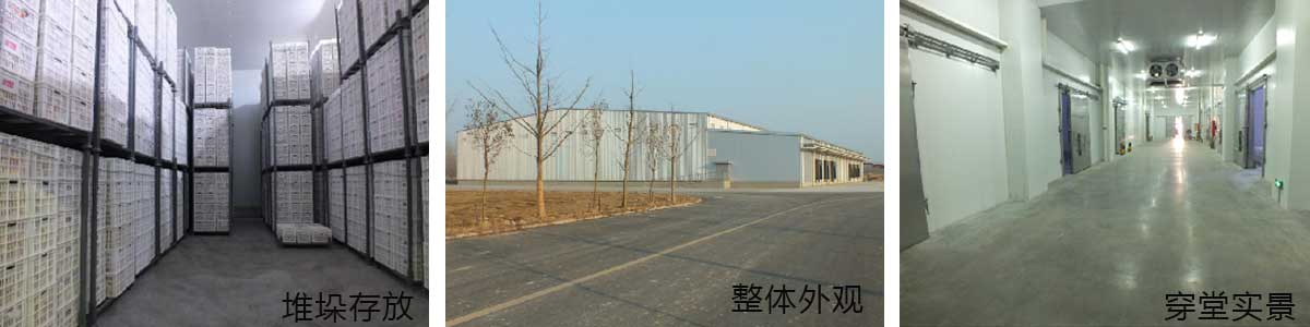 未标题-4.jpg
